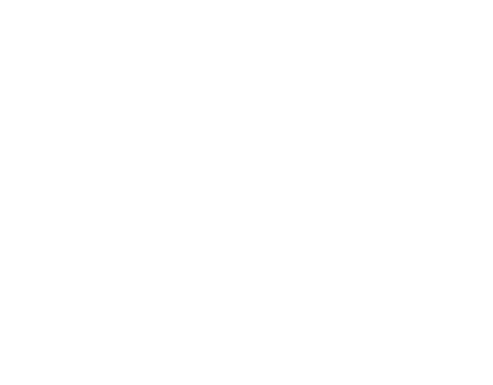 White Mastercard Logo (2)